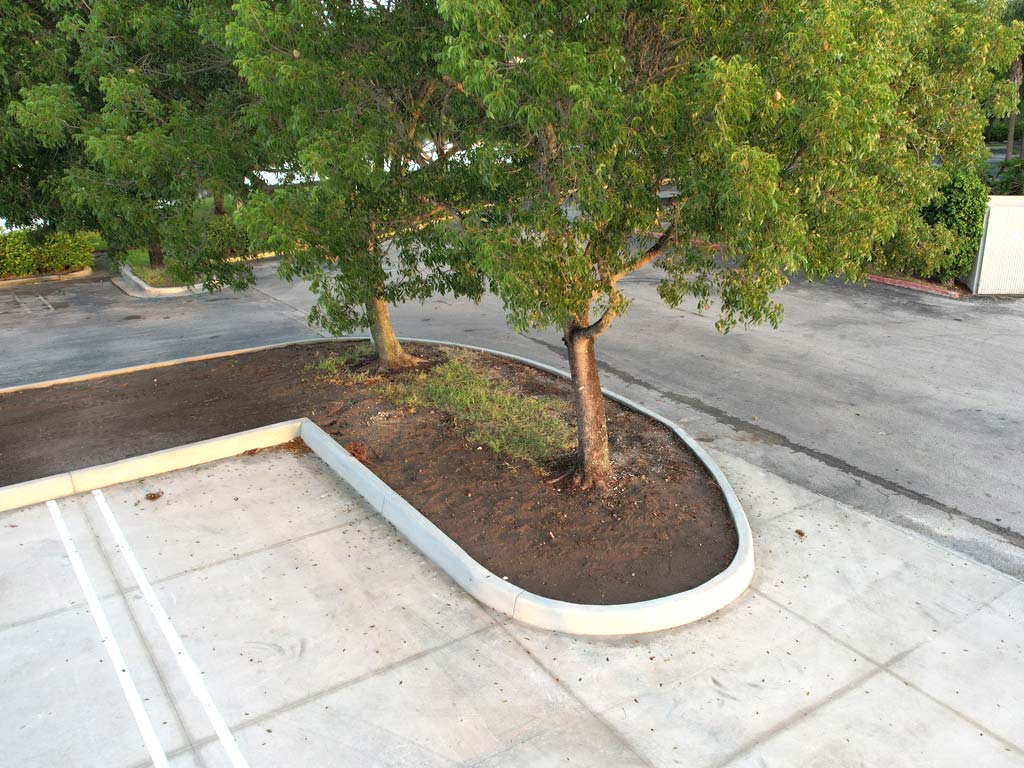 Custom 10" concrete curbing installed onto a concrete parking lot in Pompano Beach, FL at the LOWE'S facilityg
